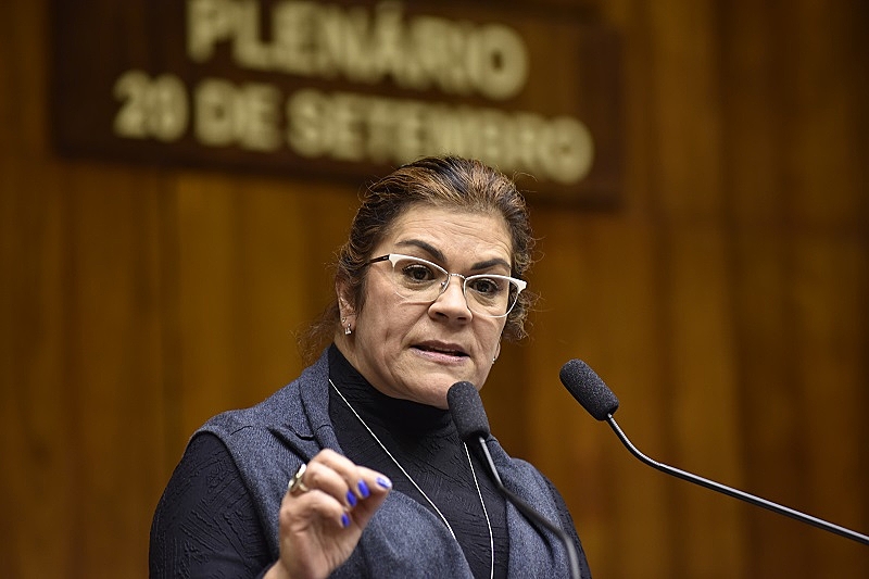 Stela Farias volta a ocupar vaga na Assembleia Legislativa